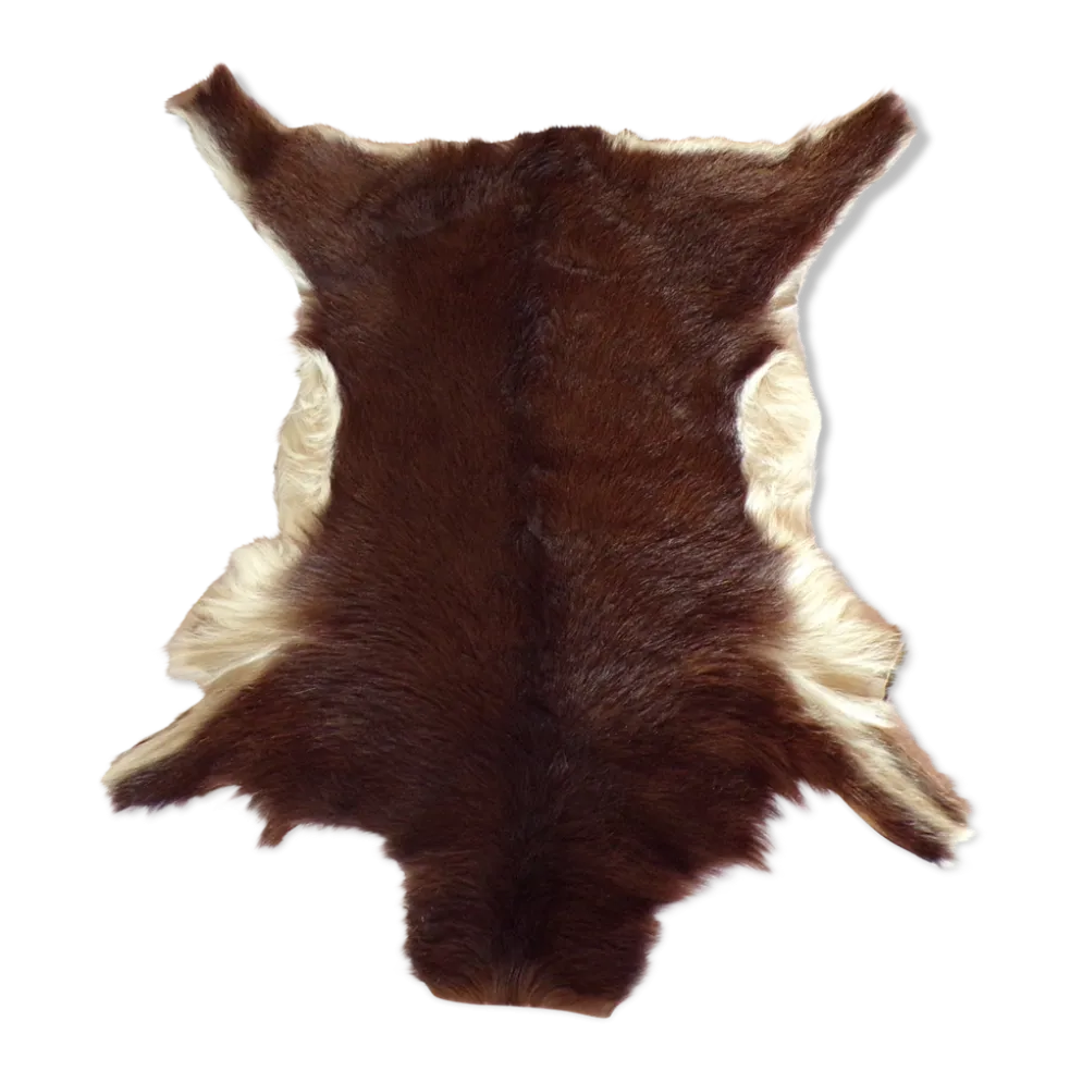 Peau de chevreau naturelle 65x53