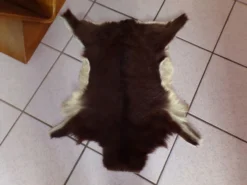 Peau de chevreau naturelle 65x53