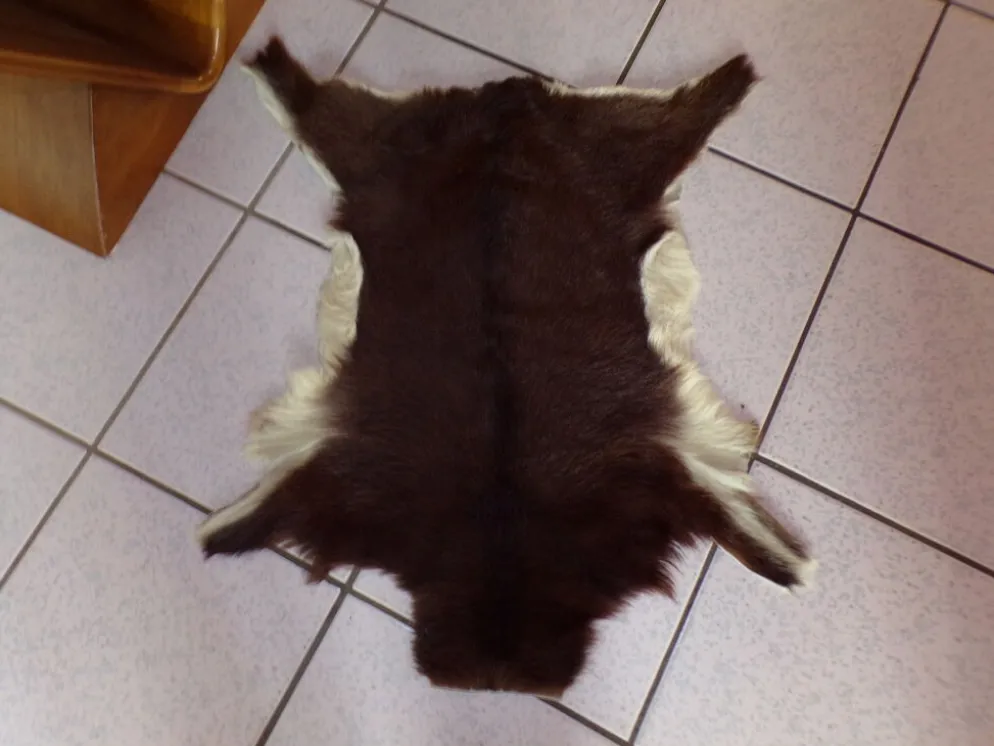 Peau de chevreau naturelle 65x53