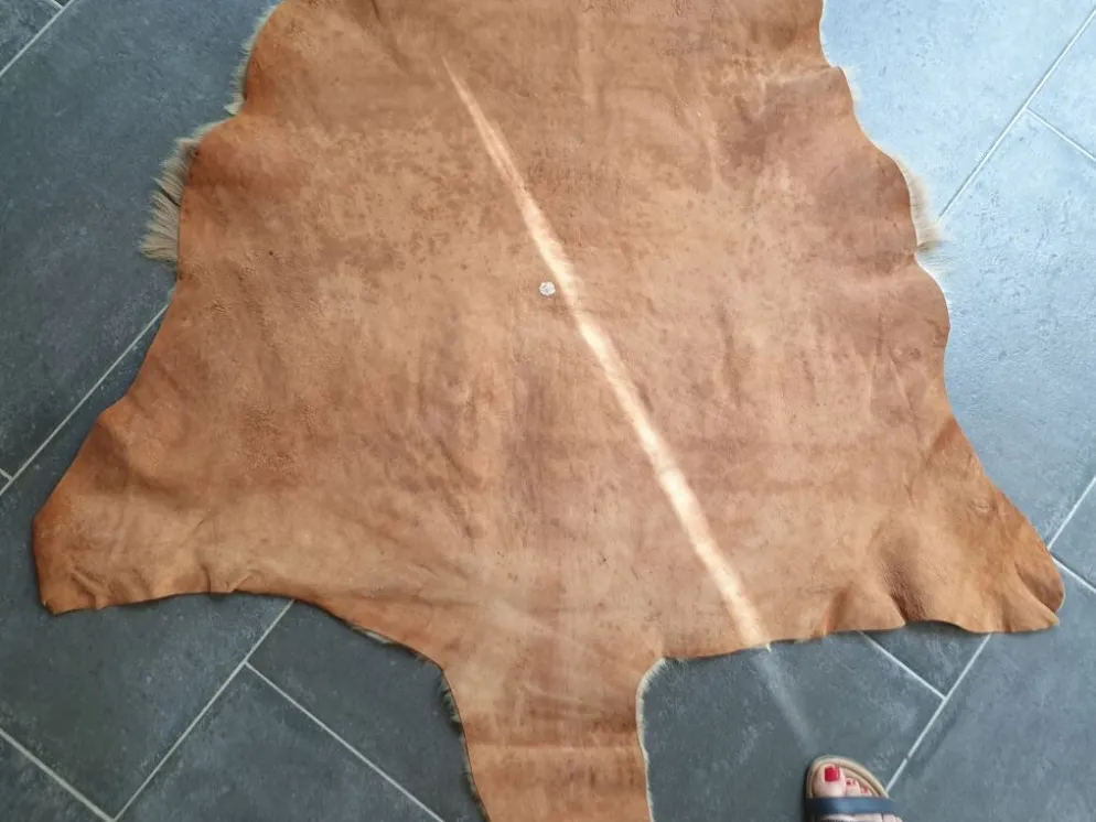 Peau de kangourou