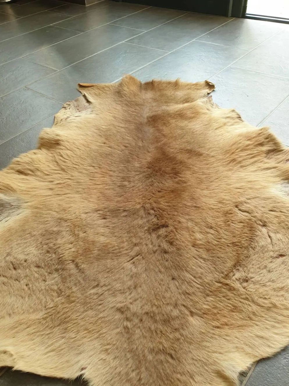 Peau de kangourou