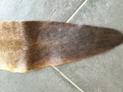Peau de kangourou