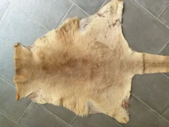 Peau de kangourou