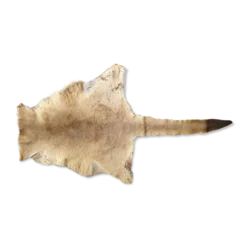 Peau de kangourou