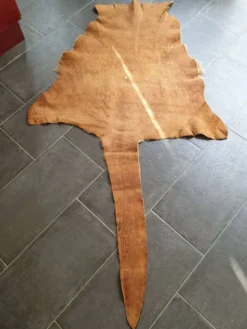 Peau de kangourou