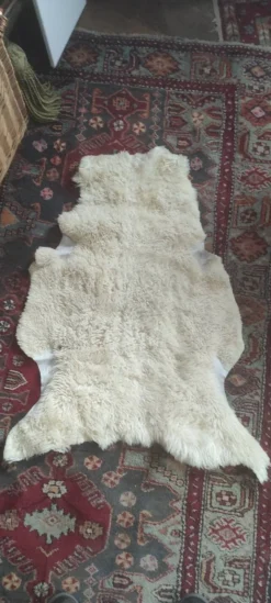 Peau de mouton