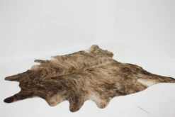 Peau de vache brindle brésilienne