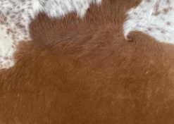 Peau de vache marron et blanche