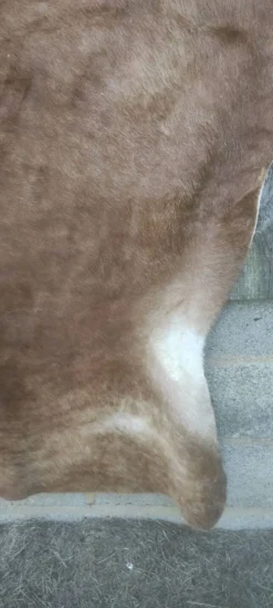 Peau de vache XL
