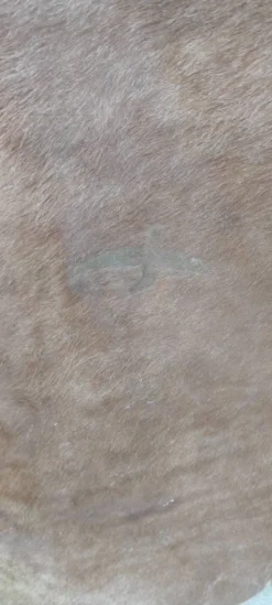 Peau de vache XL