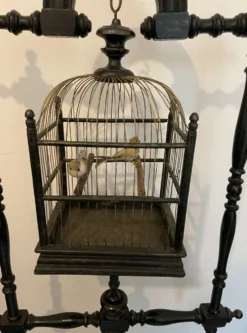 Perchoir oiseaux