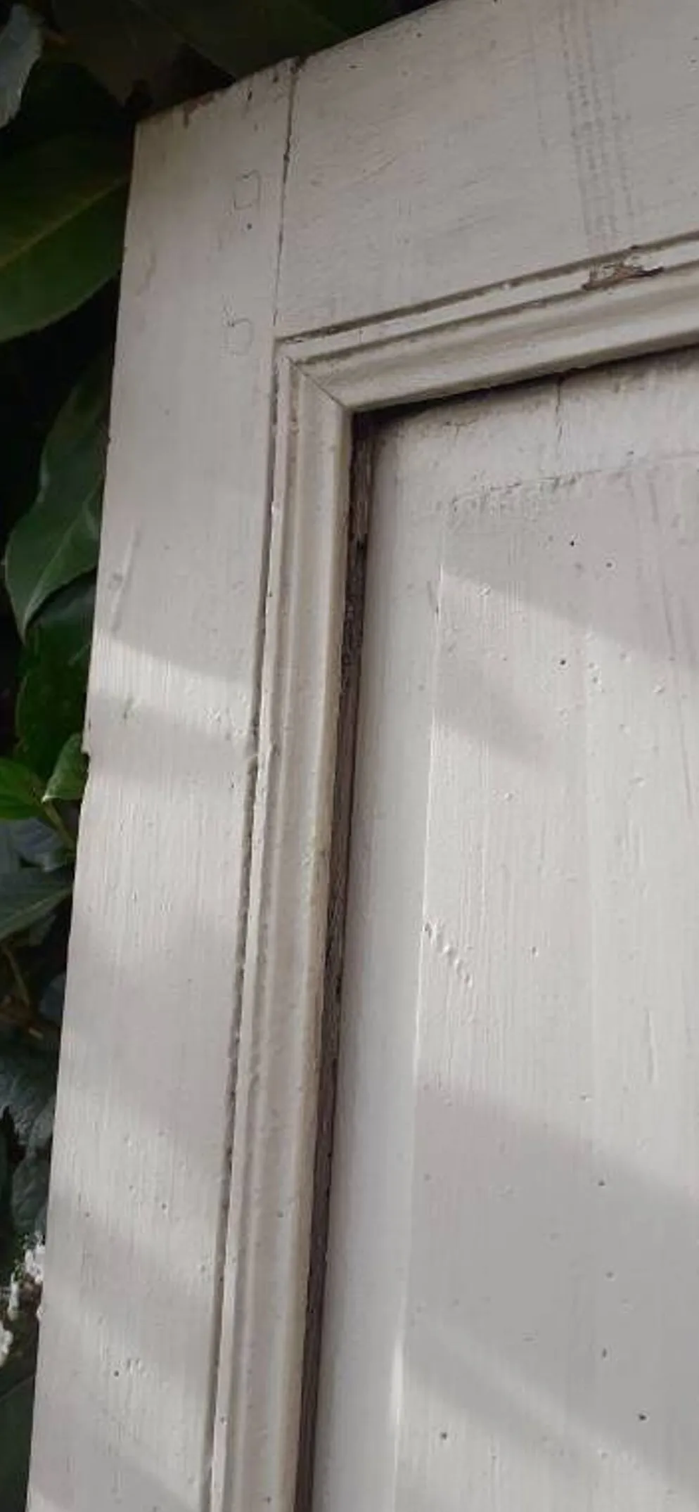 Petite porte de placard XVIII° h171,5x87,5cm ancienne