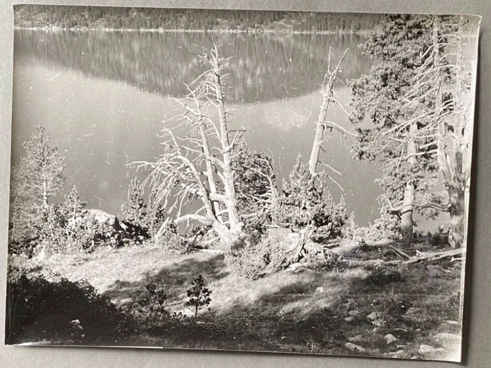 Photo argentique Bernard Darot XXe arbre mort devant un lac