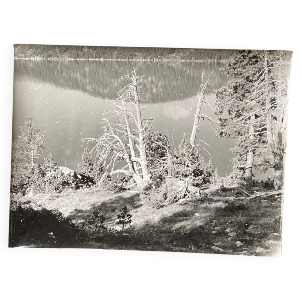 Photo argentique Bernard Darot XXe arbre mort devant un lac