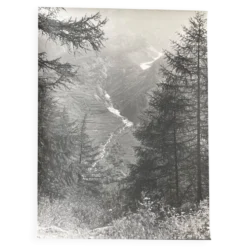 Photo argentique Bernard Darot XXe Torrent dans la vallée