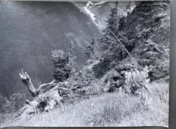 Photo argentique Bernard Darot XXe Printemps en montagne
