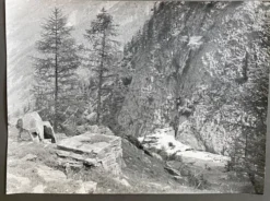 Photo argentique roches Bernard Darot XXe
