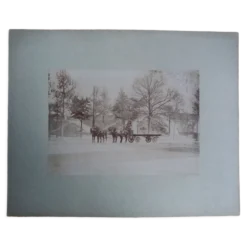 Photographie ancienne 1900 carriole cocher et chevaux