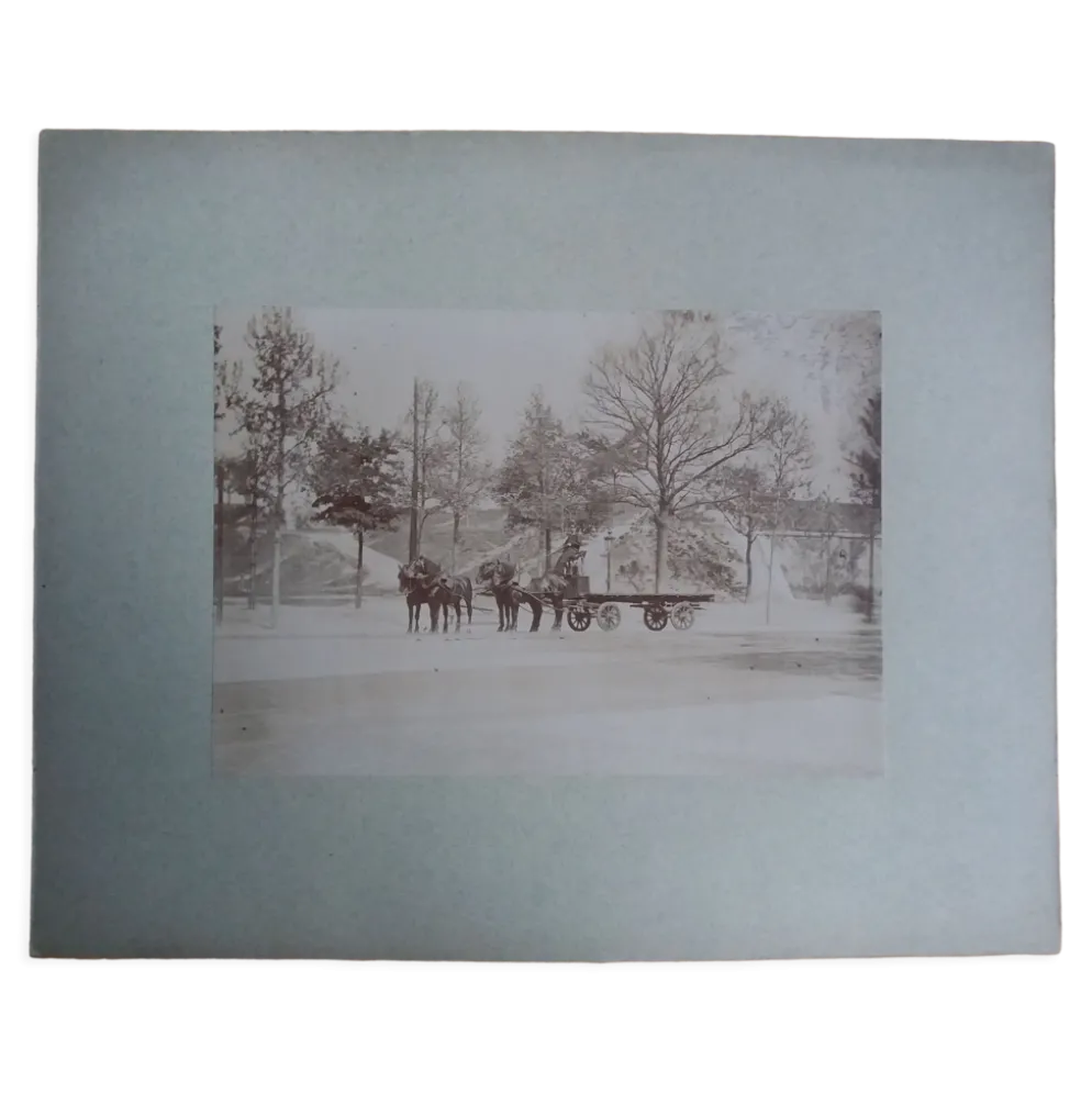 Photographie ancienne 1900 carriole cocher et chevaux