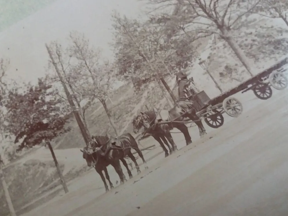 Photographie ancienne 1900 carriole cocher et chevaux