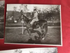 Photographie ancienne cavalier
