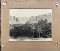 Photographie ancienne collection Algérie Oasis El Kantara Circa 1950