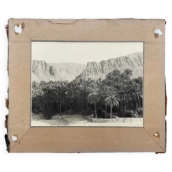 Photographie ancienne collection Algérie Oasis El Kantara Circa 1950