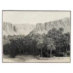 Photographie ancienne collection Algérie Oasis El Kantara Circa 1950