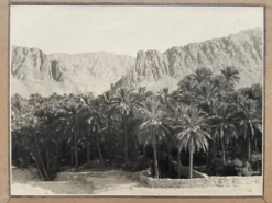Photographie ancienne collection Algérie Oasis El Kantara Circa 1950