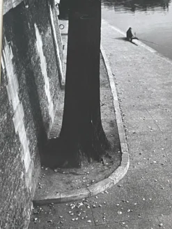 Photographie ancienne noir et blanc argentique début XXe