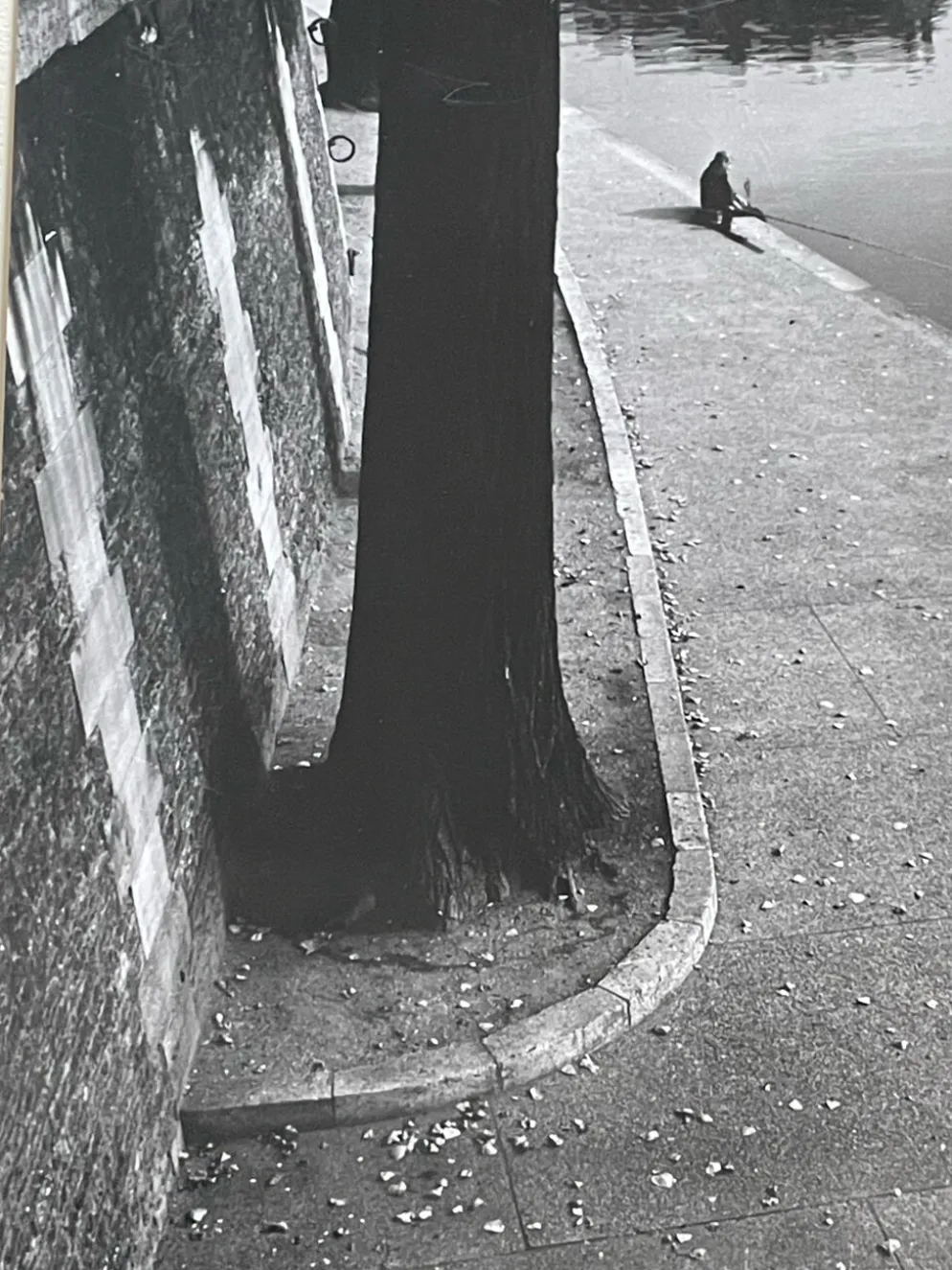 Photographie ancienne noir et blanc argentique début XXe
