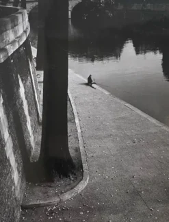 Photographie ancienne noir et blanc argentique début XXe