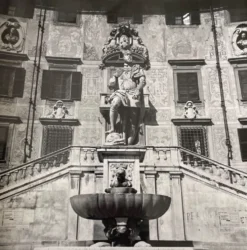 Photographie ancienne noir et blanc argentique début XXe