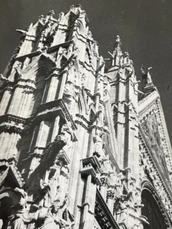 Photographie ancienne noir et blanc argentique début XXe