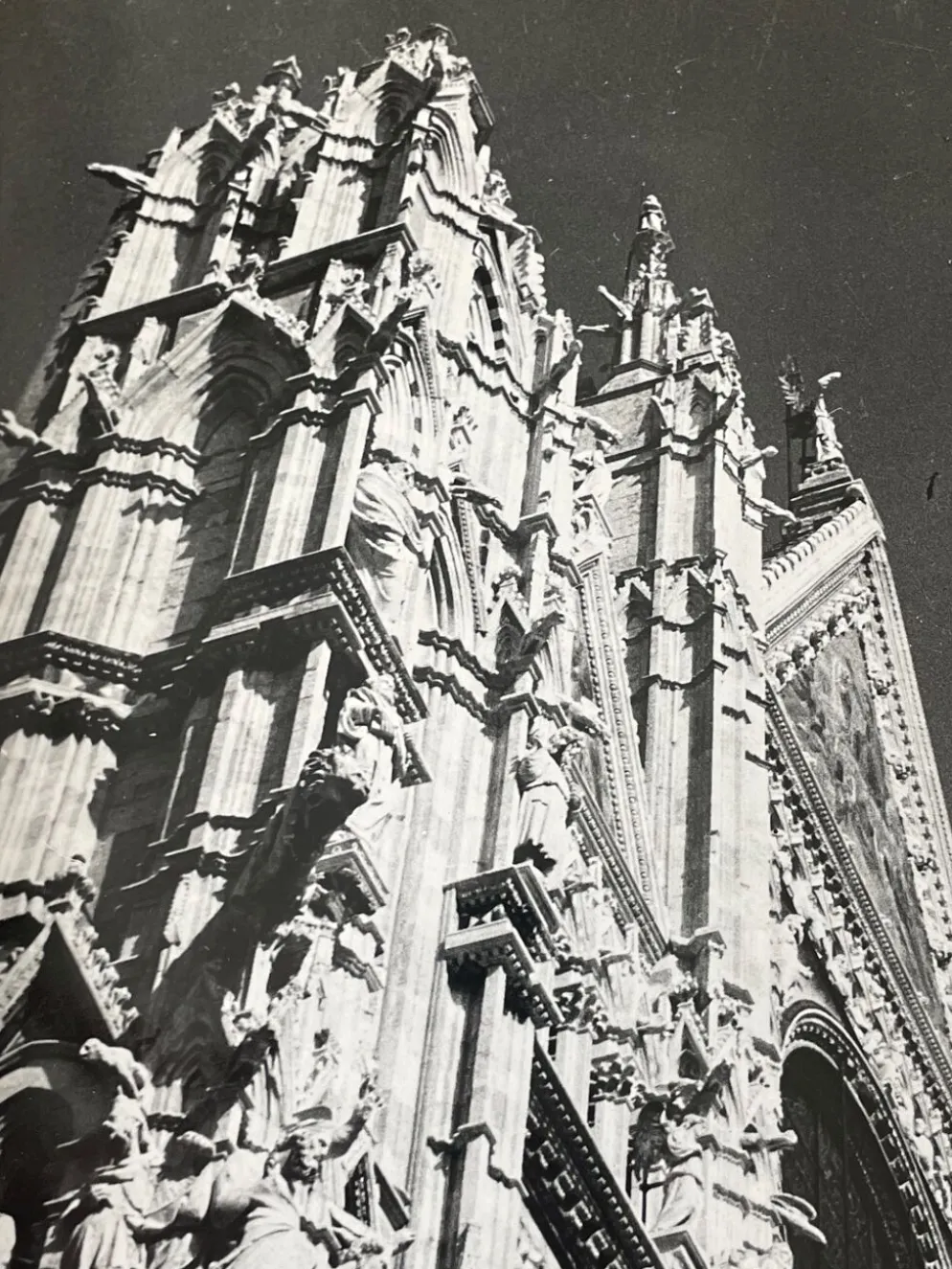 Photographie ancienne noir et blanc argentique début XXe