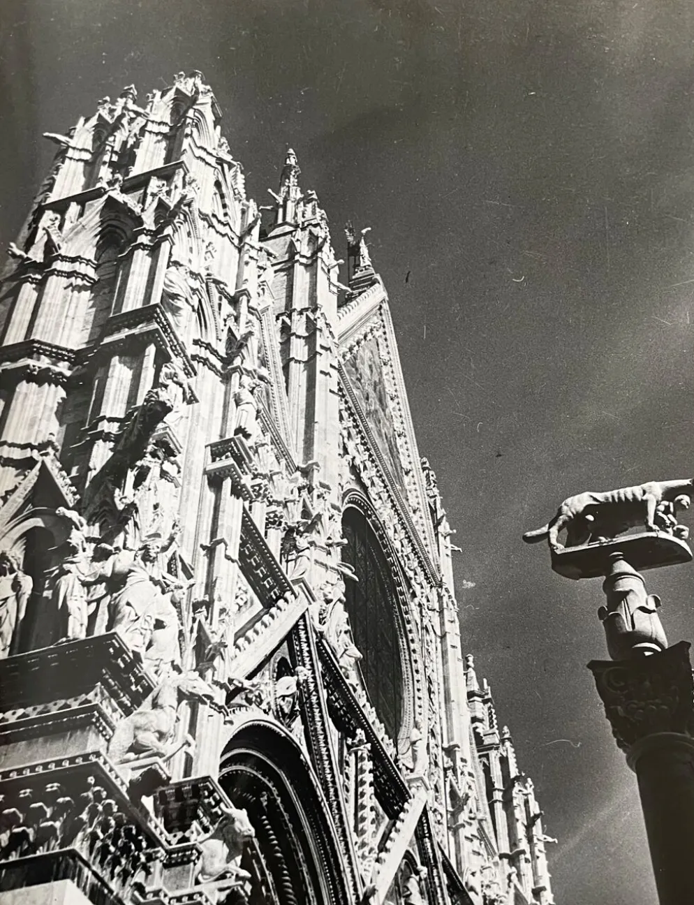Photographie ancienne noir et blanc argentique début XXe