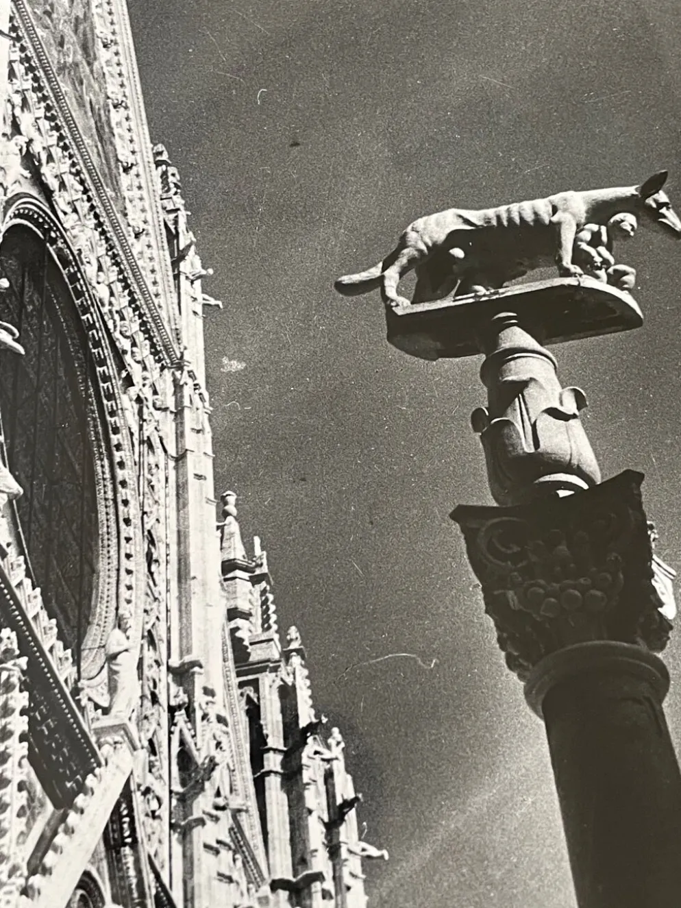Photographie ancienne noir et blanc argentique début XXe
