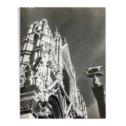 Photographie ancienne noir et blanc argentique début XXe