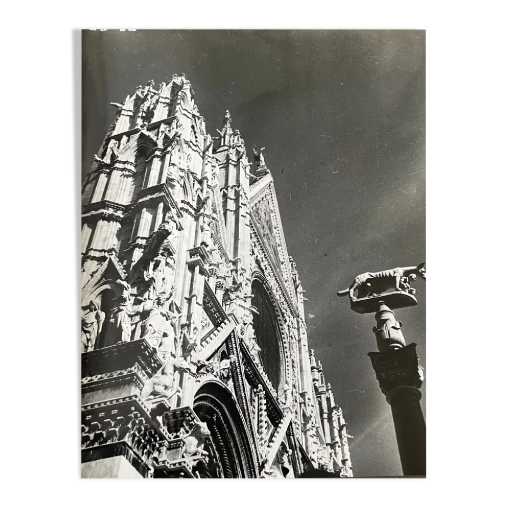 Photographie ancienne noir et blanc argentique début XXe