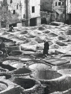 Photographie ancienne noir et blanc argentique début XXe