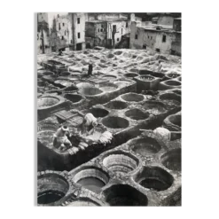Photographie ancienne noir et blanc argentique début XXe