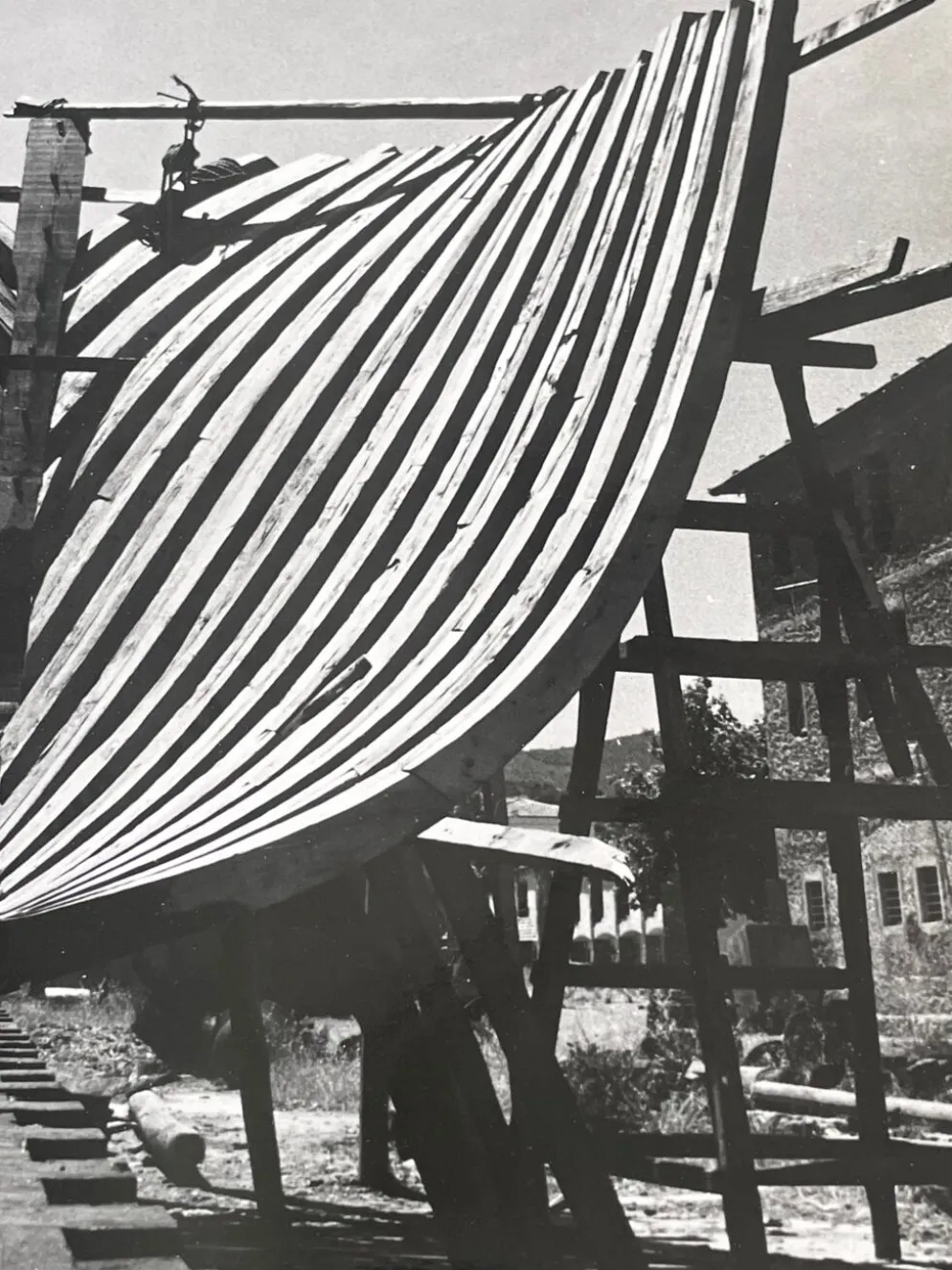 Photographie ancienne noir et blanc argentique début XXe