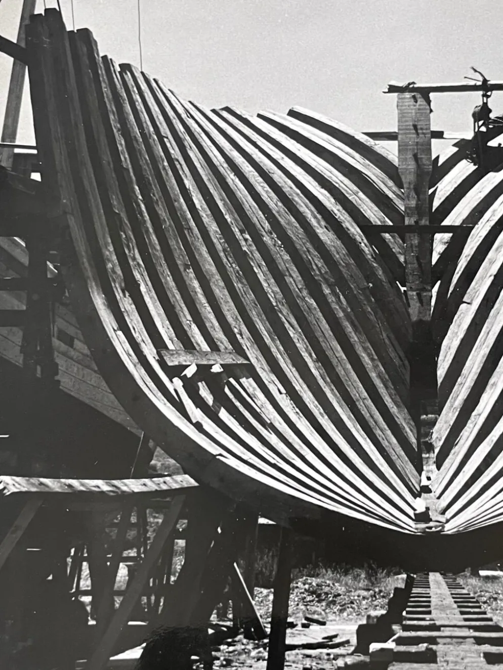 Photographie ancienne noir et blanc argentique début XXe