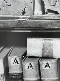 Photographie ancienne noir et blanc argentique début XXe