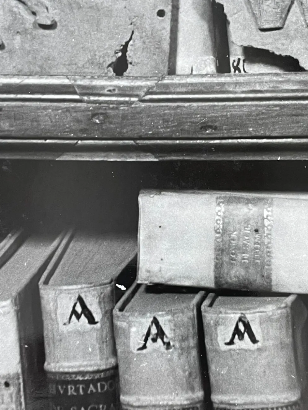 Photographie ancienne noir et blanc argentique début XXe