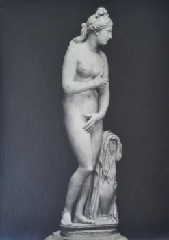 Photographie ancienne Vénus de profil Museo Capitolino Rome 1900 26x39 cm