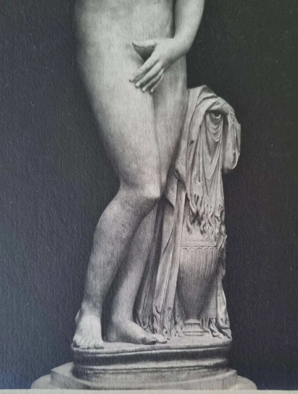 Photographie ancienne Vénus de profil Museo Capitolino Rome 1900 26x39 cm