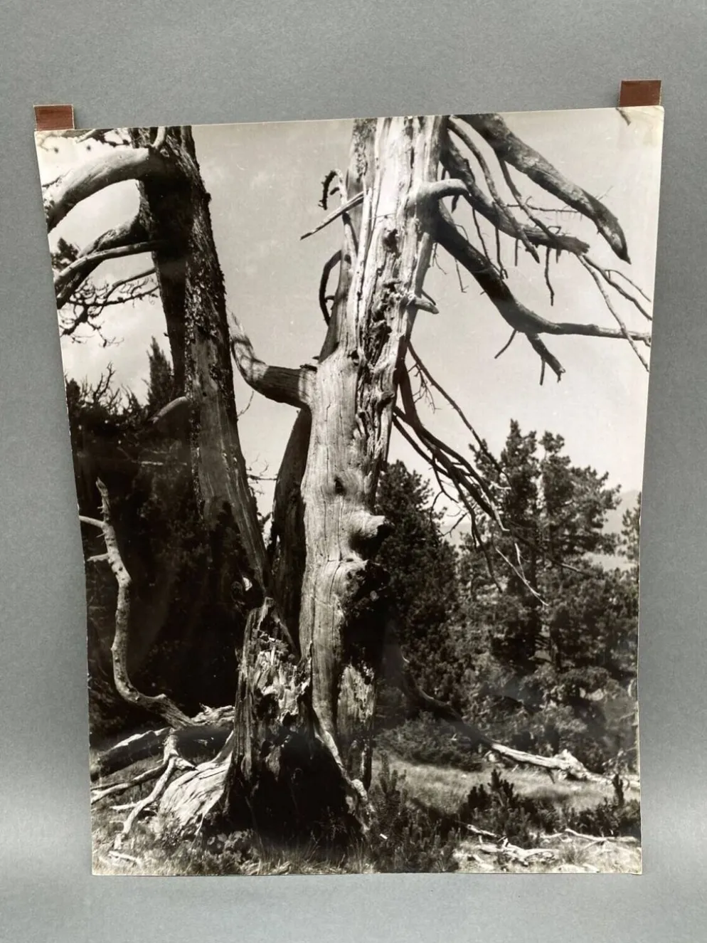 Photographie argentique Bernard Darot Les Vaincus XXe AFIAP