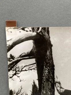 Photographie argentique Bernard Darot Les Vaincus XXe AFIAP