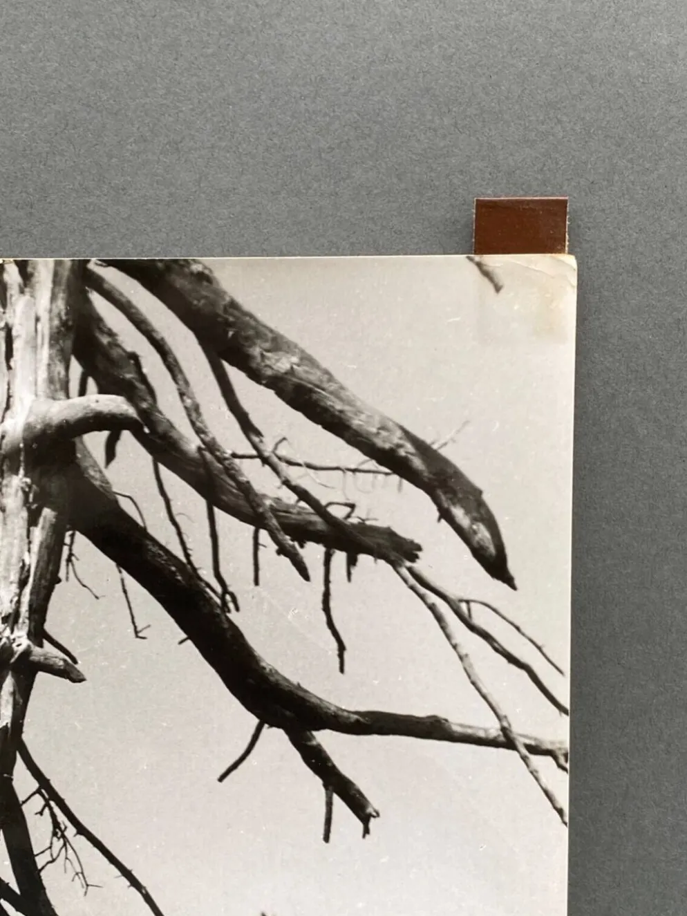 Photographie argentique Bernard Darot Les Vaincus XXe AFIAP
